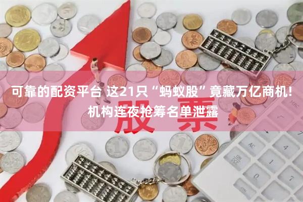 可靠的配资平台 这21只“蚂蚁股”竟藏万亿商机! 机构连夜抢筹名单泄露