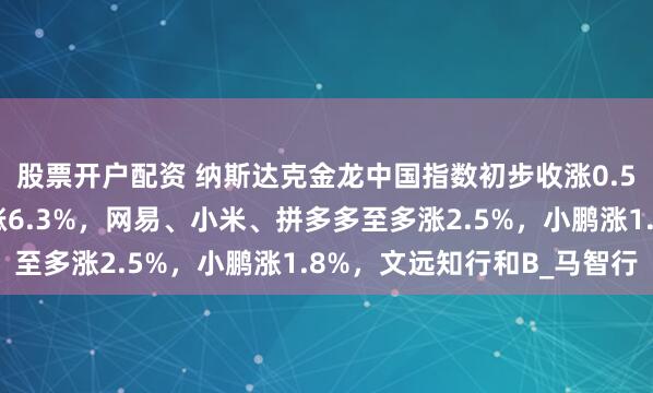 股票开户配资 纳斯达克金龙中国指数初步收涨0.5%。热门中概股理想涨6.3%，网易、小米、拼多多至多涨2.5%，小鹏涨1.8%，文远知行和B_马智行
