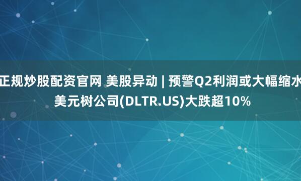 正规炒股配资官网 美股异动 | 预警Q2利润或大幅缩水 美元树公司(DLTR.US)大跌超10%