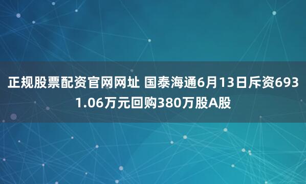 正规股票配资官网网址 国泰海通6月13日斥资6931.06万元回购380万股A股
