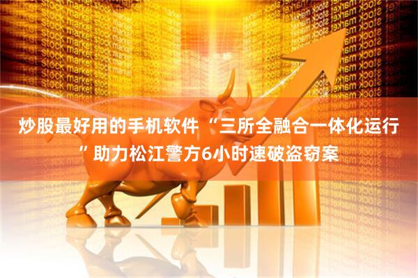 炒股最好用的手机软件 “三所全融合一体化运行”助力松江警方6小时速破盗窃案