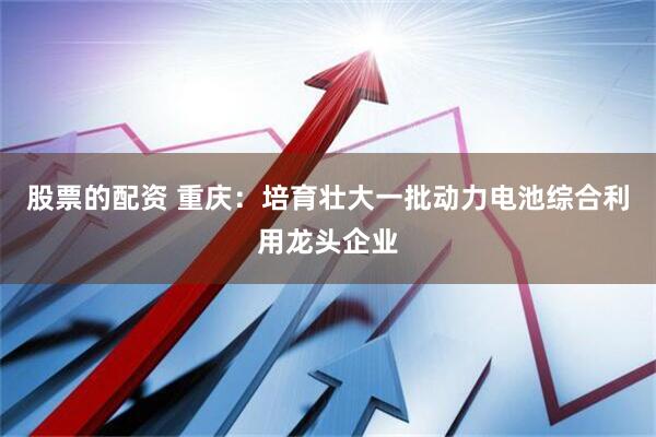股票的配资 重庆：培育壮大一批动力电池综合利用龙头企业